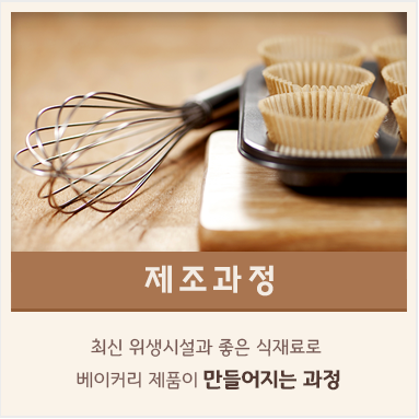 제조과정